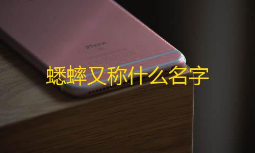 萤火突击透视自瞄辅助器蟋蟀又称什么名字